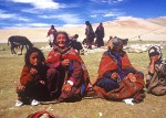 Bei Nomaden in Ladakh
