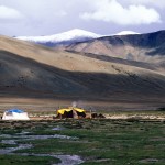 Ladakh_Rupshu_50294