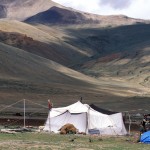 Ladakh_Rupshu_30293